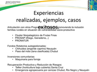 Experiencias
         realizadas, ejemplos, casos
                              exitosos.
Articulación con otros Programas y Proyectos promoviendo la inclusión
familias rurales en situación de vulnerabilidad socio-productiva

    • Cluster Norpatagónico de Frutas Finas
    • PROSAP (Riego, Ganadería,..)
    • PRONATUR

Fondos Rotatorios autogestionados:
    • Chihuidos (engorde caprino) Neuquén
    • Paso del indio (lana clasificada) Chubut

Inversiones comunitarias:
    • Maquinaria para forraje

Recuperación Productiva y Reducción de Riesgos:
   • Tellier (horticultura bajo cubierta) Santa Cruz
   • Emergencia agropecuaria por cenizas Chubut, Rio Negro y Neuquén
 