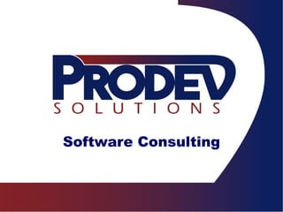 Software Consulting 