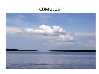 CUMULUS
 