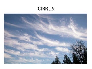 CIRRUS
 