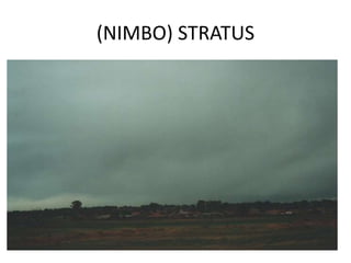 (NIMBO) STRATUS
 