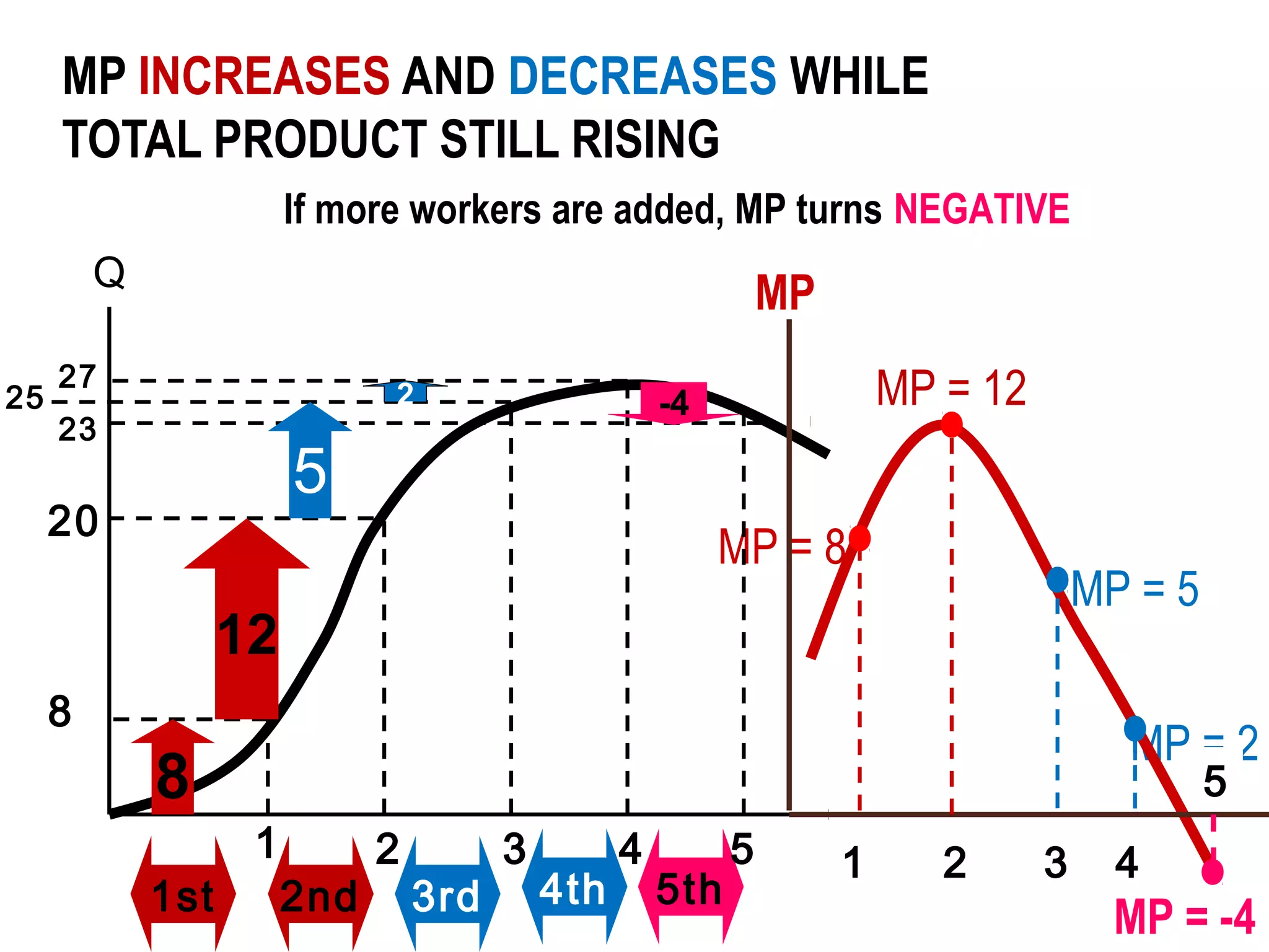 MP INCREASES AND DECREASES WHILE
TOTAL PRODUCT STILL RISING
If more workers are added, MP turns NEGATIVE
Q
25

MP

27

2

23

MP = 12

-4

5

20

MP = 8

MP = 5

12
8

MP = 2

8
1st

5

1

2nd

2

3rd

3

4th

4

5th

5

1

2

3

4

MP = -4

 
