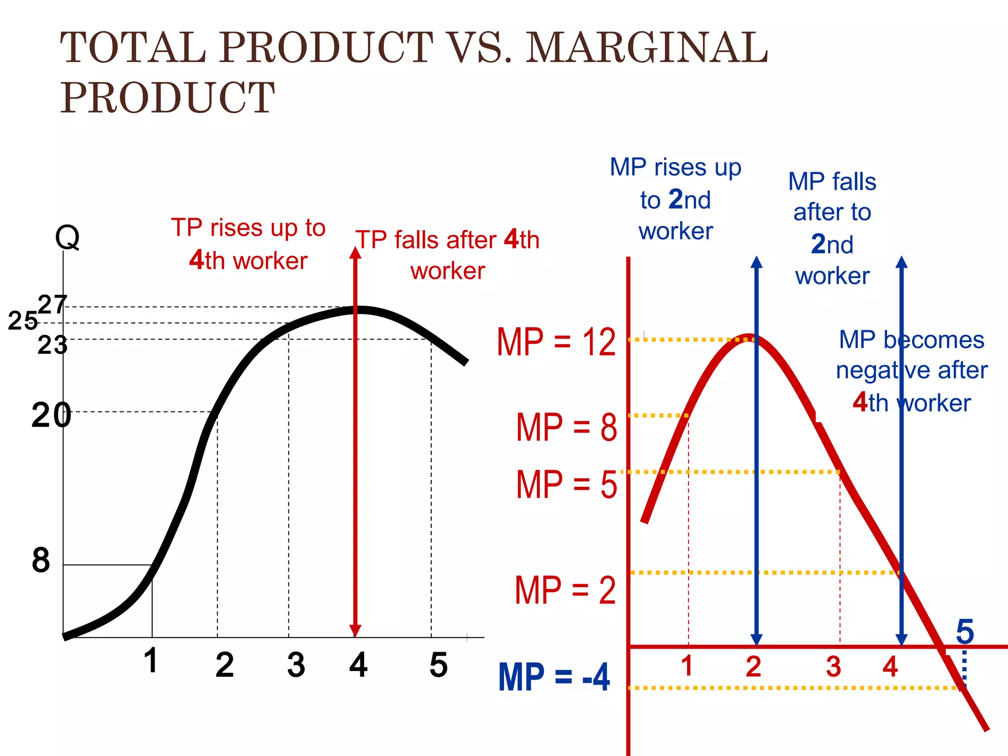 TOTAL PRODUCT VS. MARGINAL
PRODUCT
Q

TP rises up to
4th worker

TP falls after 4th
worker

27
25
23

MP rises up
to 2nd
worker
MP

MP falls
after to
2nd
worker

MP = 12

20

MP becomes
negative after
4th worker

MP = 8
MP = 5

8

MP = 2
1

2

3

4

5

MP = -4

1

2

3

4

5

 