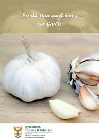 agriculture,
forestry & fisheries
Department:
Agriculture, Forestry and Fisheries
REPUBLIC OF SOUTH AFRICA
Production guidelinesProduction guidelines
for Garlicfor Garlic
 