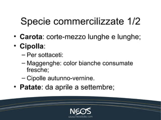Specie commercilizzate 1/2
• Carota: corte-mezzo lunghe e lunghe;
• Cipolla:
  – Per sottaceti:
  – Maggenghe: color bianche consumate
    fresche;
  – Cipolle autunno-vernine.
• Patate: da aprile a settembre;
 