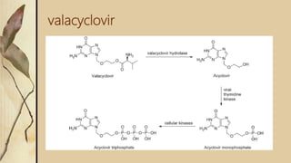 valacyclovir
 