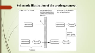 Schematic illustration of the prodrug concept
 