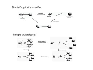 Multiple drug release:
Simple Drug-Linker-specifier:
 