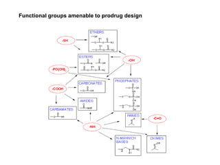 Functional groups amenable to prodrug design
 