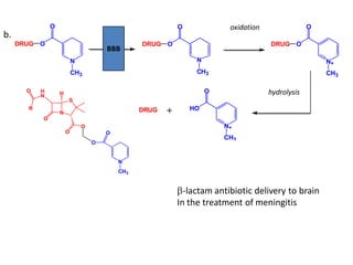 N
ODRUG
O
CH3
N
ODRUG
O
CH3
N+
ODRUG
O
CH3
N+
HO
O
CH3
+DRUG
b.
N
S
O
O
HH
N
R
O
O
N
O
O
CH3
-lactam antibiotic delivery to brain
In the treatment of meningitis
BBB
oxidation
hydrolysis
 