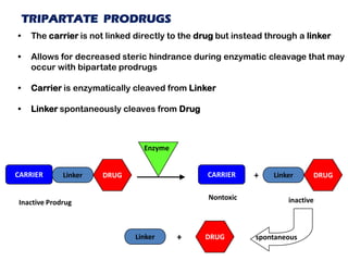 TRIPARTATE PRODRUGS
• The carrier is not linked directly to the drug but instead through a linker
• Allows for decreased steric hindrance during enzymatic cleavage that may
occur with bipartate prodrugs
• Carrier is enzymatically cleaved from Linker
• Linker spontaneously cleaves from Drug
CARRIER DRUG CARRIER
Inactive Prodrug inactiveNontoxic
+
Enzyme
Linker DRUGLinker
DRUGLinker + spontaneous
 