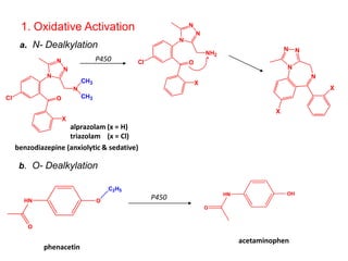 1. Oxidative Activation
a. N- Dealkylation
O
N
Cl
N
N
X
N
CH3
CH3
O
N
Cl
N
N
X
NH2
N
N
X
NN
X
b. O- Dealkylation
OHN
O
C2H5
HN
O
OH
phenacetin
acetaminophen
benzodiazepine (anxiolytic & sedative)
P450
P450
alprazolam (x = H)
triazolam (x = Cl)
 