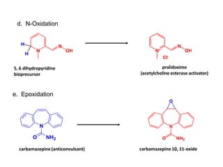 N
N
OH
H
H
N+
N
OH
Cl-
5, 6 dihydropyridine
bioprecursor
d. N-Oxidation
pralidoxime
(acetylcholine esterase activator)
e. Epoxidation
N
O NH2
N
O NH2
O
carbamazepine (anticonvulsant) carbamazepine 10, 11-oxide
 