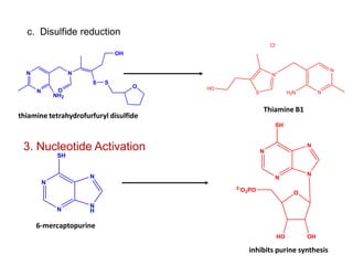 N
N
N
S
NH2
O
S
O
OH
c. Disulfide reduction
thiamine tetrahydrofurfuryl disulfide
Thiamine B1
3. Nucleotide Activation
SH
N
N
N
N
H
SH
N
N
N
N
O
HO OH
2-O3PO
6-mercaptopurine
inhibits purine synthesis
HO
H2N
N+
S
N
N
Cl-
 