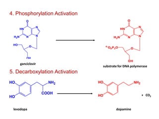 NH2HO
HO
COOH
HN
N N
N
H2N
O
O
OH
HO
HN
N N
N
H2N
O
O
4-
O9P3O
OH
4. Phosphorylation Activation
ganciclovir
substrate for DNA polymerase
5. Decarboxylation Activation
+ CO2
levodopa dopamine
NH2HO
HO
 