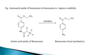 Eg. Aminoacid amide of benzocaine to benzocaine to improve solubility.
O O CH3
N
H
O
R
N
+
H
H
H
O O CH3
NH2
Amino acid amide of Benzocaine Benzocaine (local anesthetics)
Amidase
16
 