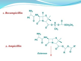 NH
N
S
O
O
NH2
Ph
O
O O
R
R'
O
Esterase
2. Ampicillin
NH
N
S
O
O
NH2
Ph
O
O
H
H
C O
O
OCH2CH3
CH3
1. Becampicillin
 