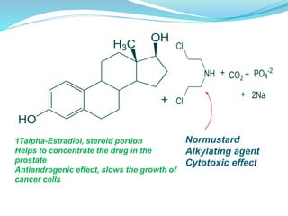 OH
H3C
HO
+
17alpha-Estradiol, steroid portion
Helps to concentrate the drug in the
prostate
Antiandrogenic effect, slows the growth of
cancer cells
NH
Cl
Cl
+ CO2 + PO4
-2
+ 2Na
Normustard
Alkylating agent
Cytotoxic effect
 
