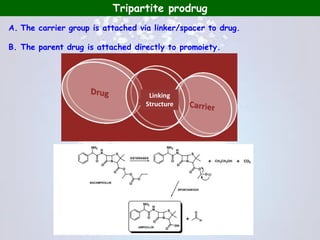 Promoiety Structure Prodrug concept | PDF
