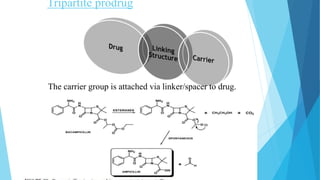 Tripartite prodrug
The carrier group is attached via linker/spacer to drug.
 