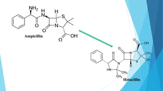 Ampicillin
Hetacillin
 
