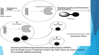 Schematic presentation of gene-directed enzyme prodrug therapy (GDEPT).
Gene for foreign enzyme is transfected to tumor cells, which express the enzyme to activate
the systemically administered prodrug
 