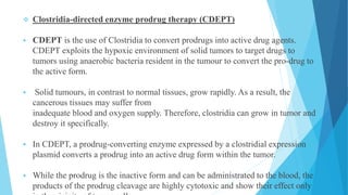  Clostridia-directed enzyme prodrug therapy (CDEPT)
 CDEPT is the use of Clostridia to convert prodrugs into active drug agents.
CDEPT exploits the hypoxic environment of solid tumors to target drugs to
tumors using anaerobic bacteria resident in the tumour to convert the pro-drug to
the active form.
 Solid tumours, in contrast to normal tissues, grow rapidly. As a result, the
cancerous tissues may suffer from
inadequate blood and oxygen supply. Therefore, clostridia can grow in tumor and
destroy it specifically.
 In CDEPT, a prodrug-converting enzyme expressed by a clostridial expression
plasmid converts a prodrug into an active drug form within the tumor.
 While the prodrug is the inactive form and can be administrated to the blood, the
products of the prodrug cleavage are highly cytotoxic and show their effect only
 