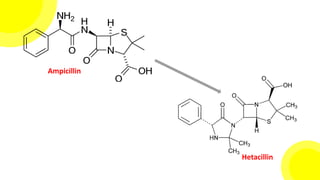 Ampicillin
Hetacillin
 