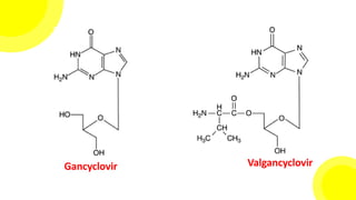 Gancyclovir Valgancyclovir
 