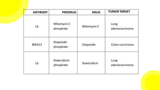 ANTIBODY PRODRUG DRUG TUMOR TARGET
L6
Mitomycin C
phosphate
Mitomycin C
Lung
adenocarcinoma
BW413
Etoposide
phosphate
Etoposide Colon carcinoma
L6
Doxorubicin
phosphate
Doxorubicin
Lung
adenocarcinoma
 