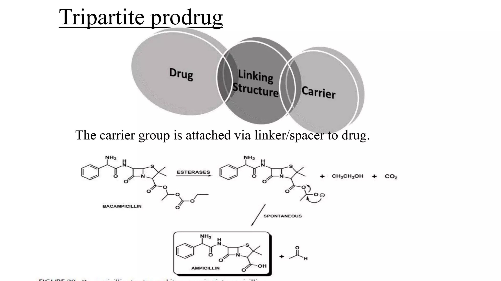 Tripartite prodrug
The carrier group is attached via linker/spacer to drug.
 