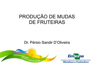 PRODUÇÃO DE MUDAS
DE FRUTEIRAS
Dr. Pérsio Sandir D’Oliveira
 