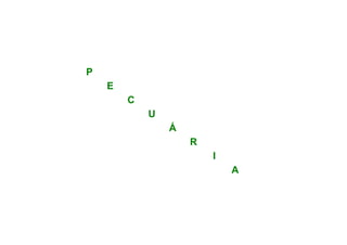 P
    E
        C
            U
                Á
                    R
                        I
                            A
 