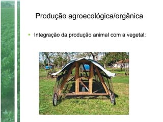 Produção agroecológica/orgânica
 Integração da produção animal com a vegetal:
 