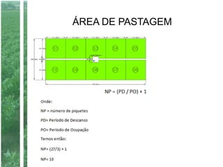 ÁREA DE PASTAGEM
Horta
Pomar
Piquetes
 
