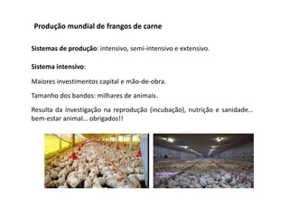 Produção mundial de frangos de carne
Sistemas de produção: intensivo, semi-intensivo e extensivo.
Sistema intensivo:
Maiores investimentos capital e mão-de-obra.
Tamanho dos bandos: milhares de animais.
Resulta da investigação na reprodução (incubação), nutrição e sanidade…
bem-estar animal… obrigados!!
 