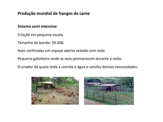 Produção mundial de frangos de carne
Sistema semi-intensivo:
Criação em pequena escala.
Tamanho do bando: 50-200.
Aves confinadas em espaço aberto vedado com rede.
Pequeno galinheiro onde as aves permanecem durante a noite.
O criador dá quase toda a comida e água e satisfaz demais necessidades.
 