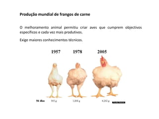 Produção mundial de frangos de carne
O melhoramento animal permitiu criar aves que cumprem objectivos
específicos e cada vez mais produtivos.
Exige maiores conhecimentos técnicos.
 