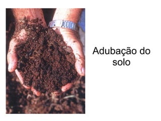 Adubação do
solo
 