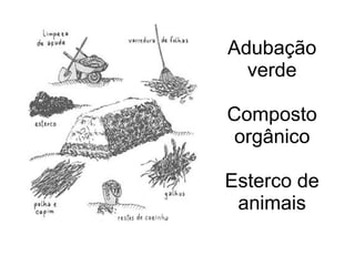 Adubação
verde
Composto
orgânico
Esterco de
animais
 