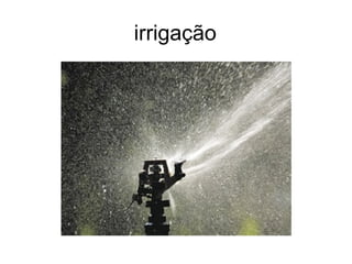 irrigação
 