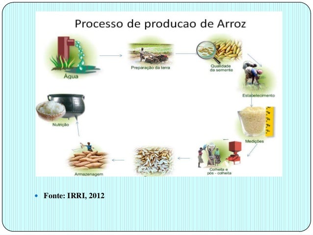 Producao de arroz em mocambique