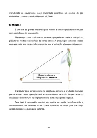 116
manutenção do povoamento recém implantado garantindo um produto de boa
qualidade e com menor custo (Hoppe et. al., 2004).
SEMENTES
È um item de grande relevância para manter a unidade produtora de mudas
com credibilidade do seu produto.
Ela começa com a qualidade da semente, que pode ser coletada pelo próprio
produtor de mudas ou adquiridas de firmas idôneas.A procura por sementes cresce
cada vez mais, seja para o reflorestamento, seja arborização urbana ou paisagismo.
O produtor deve ser consciente na escolha da semente e produção de mudas
porque o erro nessa operação será mostrado depois de muito tempo causando
insucesso e desestímulo no empreendimento e até propaganda negativa.
Para isso é necessário domínio da técnica de coleta, beneficiamento e
armazenamento de sementes e da correta condução da muda para que atinja
características desejáveis para o plantio.
 