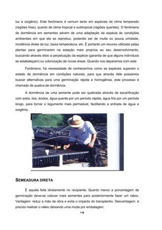 118
luz e oxigênio). Este fenômeno é comum tanto em espécies de clima temperado
(regiões frias), quanto de clima tropical e subtropical (regiões quentes). O fenômeno
de dormência em sementes advém de uma adaptação da espécie às condições
ambientais em que ela se reproduz, podendo ser de muita ou pouca umidade,
incidência direta de luz, baixa temperatura, etc. É portanto um recurso utilizado pelas
plantas para germinarem na estação mais propícia ao seu desenvolvimento,
buscando através disto a perpetuação da espécie (garantia de que alguns indivíduos
se estabeleçam) ou colonização de novas áreas. Quando nos deparamos com este
Fenômeno, há necessidade de conhecermos como as espécies superam o
estado de dormência em condições naturais, para que através dele possamos
buscar alternativas para uma germinação rápida e homogênea, este processo é
chamado de quebra de dormência.
A dormência de uma semente pode ser quebrada através de escarificação
com areia, lixa, ácidos, água quente por um período rápido, água fria por um período
longo, para tornar o tegumento mais permeável, facilitando a entrada de água e
oxigênio.
SEMEADURA DIRETA
É aquela feita diretamente no recipiente. Quanto menor a porcentagem de
germinação deve-se colocar mais sementes para posteriormente fazer um raleio.
Vantagem: reduz a mão de obra e evita o impacto do transplantio. Desvantagem: é
preciso realizar o raleio deixando uma muda por embalagem.
 