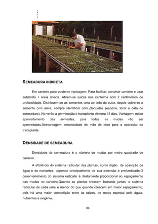 .....
119
SEMEADURA INDIRETA
Em canteiro para posterior repicagem. Para facilitar, construir canteiro e usar
substrato + areia lavada. Abrem-se sulcos nos canteiros com 2 centímetros de
profundidade. Distribuem-se as sementes uma ao lado da outra, depois cobre-se a
semente com areia, sempre identificar com plaquetas (espécie, local e data de
semeadura). No verão a germinação e transplante demora 15 dias. Vantagem: maior
aproveitamento das sementes, pois todas as mudas vão ser
aproveitadas.Desvantagem: necessidade de mão de obra para a operação de
transplante.
DENSIDADE DE SEMEADURA
Densidade de semeadura é o número de mudas por metro quadrado de
canteiro.
A eficiência do sistema radicular das plantas, como órgão de absorção de
água e de nutrientes, depende principalmente de sua extensão e profundidade.O
desenvolvimento do sistema radicular é diretamente proporcional ao espaçamento
das mudas no canteiro.Quando as plantas crescem bastante juntas, o sistema
radicular de cada uma é menor do que quando crescem em maior espaçamento,
pois há uma maior competição entre as raízes, de modo especial pela águia,
nutrientes e oxigênio.
 