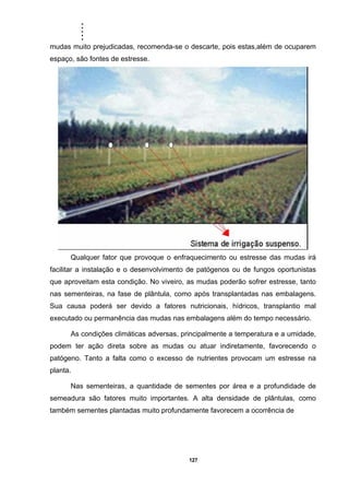 .....
127
mudas muito prejudicadas, recomenda-se o descarte, pois estas,além de ocuparem
espaço, são fontes de estresse.
Qualquer fator que provoque o enfraquecimento ou estresse das mudas irá
facilitar a instalação e o desenvolvimento de patógenos ou de fungos oportunistas
que aproveitam esta condição. No viveiro, as mudas poderão sofrer estresse, tanto
nas sementeiras, na fase de plântula, como após transplantadas nas embalagens.
Sua causa poderá ser devido a fatores nutricionais, hídricos, transplantio mal
executado ou permanência das mudas nas embalagens além do tempo necessário.
As condições climáticas adversas, principalmente a temperatura e a umidade,
podem ter ação direta sobre as mudas ou atuar indiretamente, favorecendo o
patógeno. Tanto a falta como o excesso de nutrientes provocam um estresse na
planta.
Nas sementeiras, a quantidade de sementes por área e a profundidade de
semeadura são fatores muito importantes. A alta densidade de plântulas, como
também sementes plantadas muito profundamente favorecem a ocorrência de
 