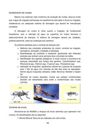 128
tombamento de mudas
Mesmo nos sistemas mais modernos de produção de mudas, deve-se evitar
que a água de irrigação permaneça na superfície do solo após a chuva ou irrigação,
instalando-se um adequado sistema de drenagem que deverá ter manutenção
constante.
A drenagem do viveiro é, tanto quanto a irrigação, de fundamental
importância, pois a retenção de água na superfície do viveiro favorece o
desenvolvimento de doenças. O sistema de drenagem deverá ser instalado,
preferencialmente, antes da confecção dos canteiros.
As práticas adotadas para o controle de doenças são:
Melhoria das condições ambientais do viveiro: controle da irrigação,
semeadura, drenagem, insolação e adubação.
Desinfestação de substrato e recipiente: geralmente são utilizados
produtos que tenham como princípio ativo o brometo de metila.
Identificação dos agentes patógenos: é muito comum a ocorrência de
doenças associadas aos fungos dos genêros: Cylindrocladium spp,
Rhizoctonia spp., Pythium spp., Fusarium spp., Phytophtora spp.
Aplicação de fungicidas: geralmente utilizam-se 2 gramas de fungicida
para 1 litro de água com intervalo de três dias entre as aplicações.
Dentre alguns fungicidas utilizados, estão: Benomyl, Benlate e Captan
50.
Descarte de mudas atacadas: mudas que estejam contaminadas
deverão ser descartadas para evitar a contaminação das mudas
vizinhas.
Controle de ervas
Denomina-se de MONDA a limpeza de ervas daninhas que aparecem nos
viveiros. As classificações são as seguintes:
1. Monda Manual: Deve-se ser realizada com solo úmido.
 
