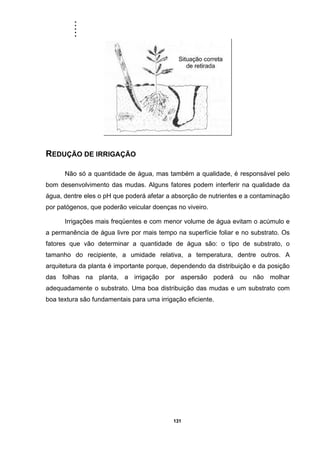 .....
131
REDUÇÃO DE IRRIGAÇÃO
Não só a quantidade de água, mas também a qualidade, é responsável pelo
bom desenvolvimento das mudas. Alguns fatores podem interferir na qualidade da
água, dentre eles o pH que poderá afetar a absorção de nutrientes e a contaminação
por patógenos, que poderão veicular doenças no viveiro.
Irrigações mais freqüentes e com menor volume de água evitam o acúmulo e
a permanência de água livre por mais tempo na superfície foliar e no substrato. Os
fatores que vão determinar a quantidade de água são: o tipo de substrato, o
tamanho do recipiente, a umidade relativa, a temperatura, dentre outros. A
arquitetura da planta é importante porque, dependendo da distribuição e da posição
das folhas na planta, a irrigação por aspersão poderá ou não molhar
adequadamente o substrato. Uma boa distribuição das mudas e um substrato com
boa textura são fundamentais para uma irrigação eficiente.
 