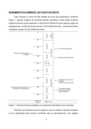 2
SURGIMENTO DA SEMENTE, DA FLOR E DO FRUTO
Tudo começou a cerca de 350 milhões de anos (era paleozóica), conforme
Figura 1, quando surgiram as primeiras plantas vasculares, nesta escala evolutiva
surgiram primeiro as gimnosperma e cerca de 50 milhões de anos depois surgem as
angiospermas, na linha do tempo isso foi a 100 milhões de anos, as primeiras flores
complexas surgem há 130 milhões de anos.
0
50
Terciário
Era
Cenozóica
100
Primeiras angiospermas
Cretássico
Primeiros vestígios de flores
complexas
150
Apogeu das gimnospermas
Jurássico
200
Triá
s-
sico
Eramezozóica
250
Pérmico
300
Lepidodendron, Calamites,
Cordaítes:
Plantas com folhas e raízes
Carbônico
Antepassados da gimnospermas 350
Aneurophyton, Archaeropteris Formação secundária
de lenho em diversos
grupos botânicos
Devônico
400
...
Silúrico
Erapaleozóica
Milhões de
anos
Período Era
Figura 1 - Escala de tempo geológico no surgimento das plantas com sementes.
Portanto, as primeiras árvores a surgirem, com um sistema vascular complexo
e com capacidade para produzir sementes são as gimnospermas, cujo apogeu
 