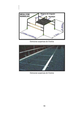 .....
153
Estruturas suspensas de Viveiros
Estruturas suspensas de Viveiros
 